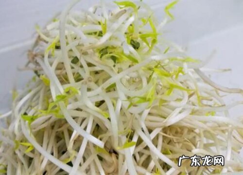 绿豆芽怎么洗才干净 正确的清洗方法