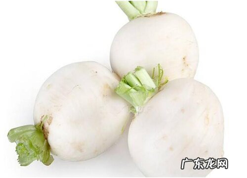 白萝卜一年可以种几次 生长周期多少天