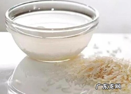 虎刺梅可以浇淘米水吗