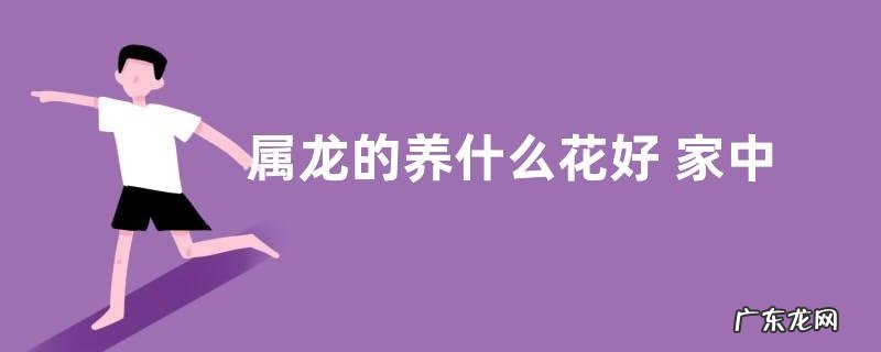 属龙的养什么花好 家中养什么花运气好又旺财