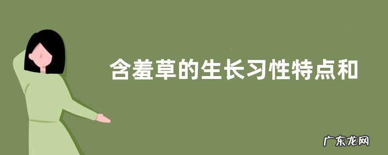 含羞草的生长习性特点和生长环境条件