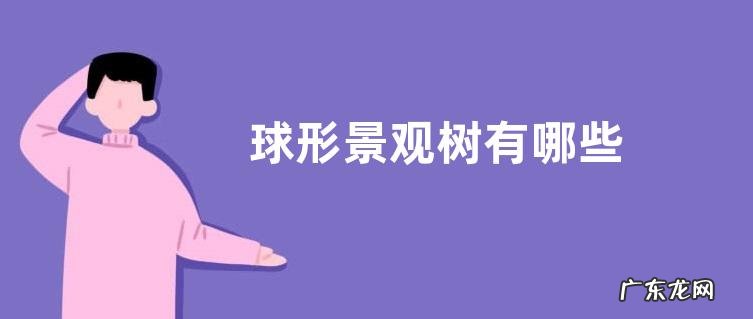 球形景观树有哪些