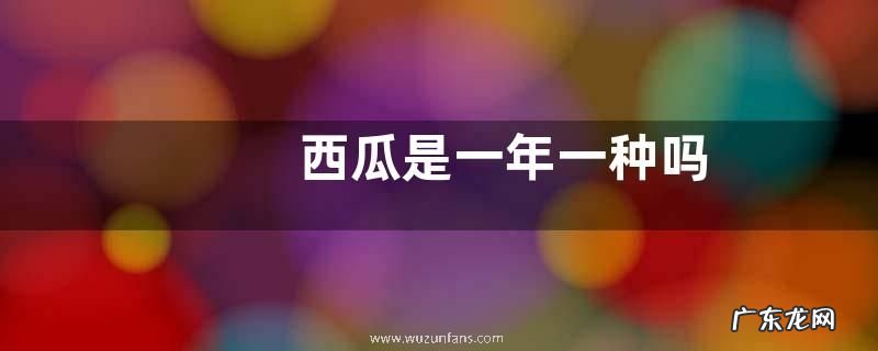 西瓜是一年一种吗