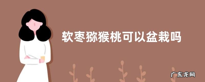 软枣猕猴桃可以盆栽吗