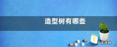 造型树有哪些
