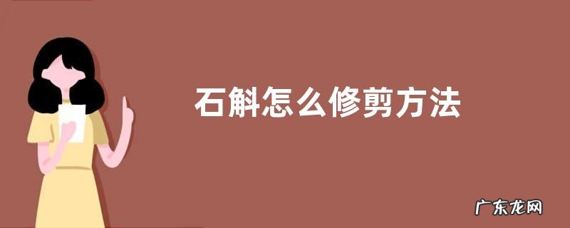 石斛怎么修剪方法