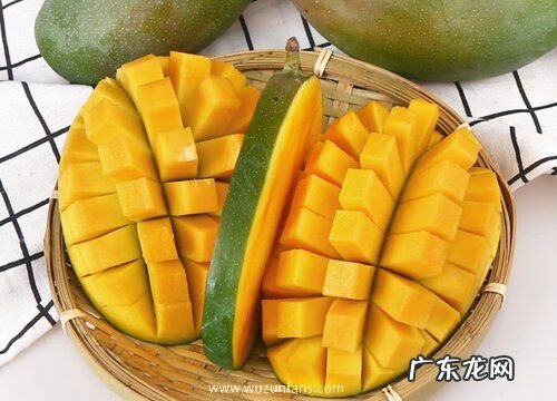 凯特芒果几月份成熟采摘