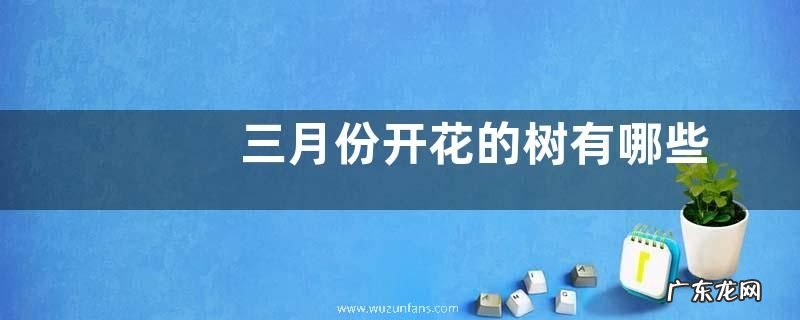 三月份开花的树有哪些