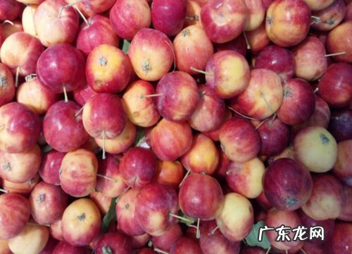 瑞士有什么水果