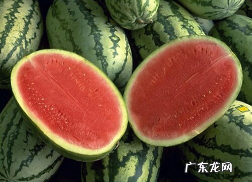 瑞士有什么水果