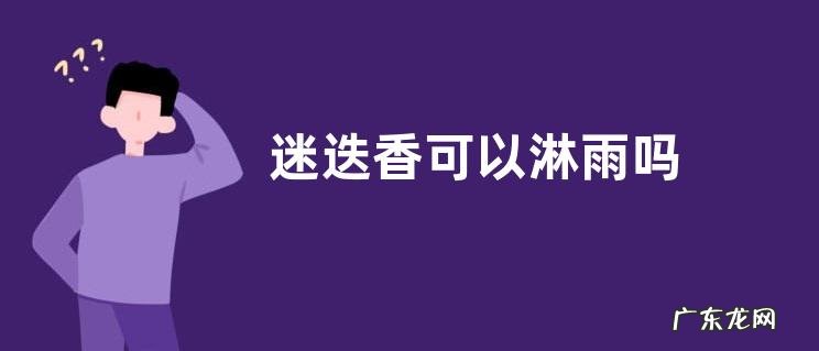 迷迭香可以淋雨吗