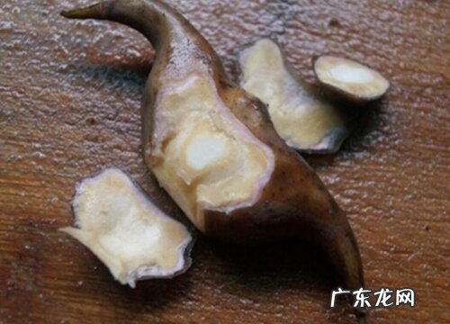 和板栗口感相似 菱角好吃吗 吃起来什么味道