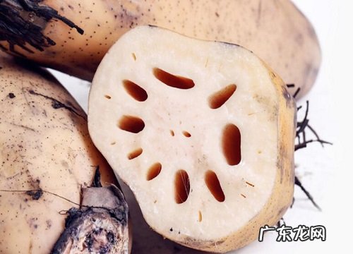 莲藕的寓意和象征风水