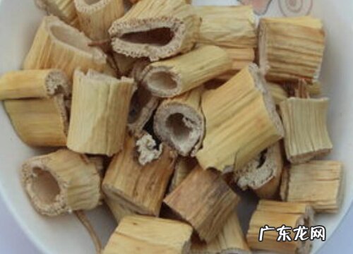 芦根是什么植物的根