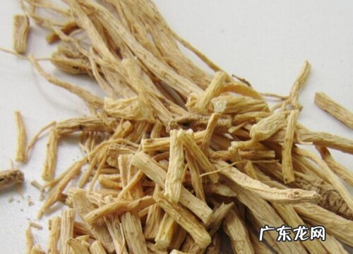 芦根是什么植物的根