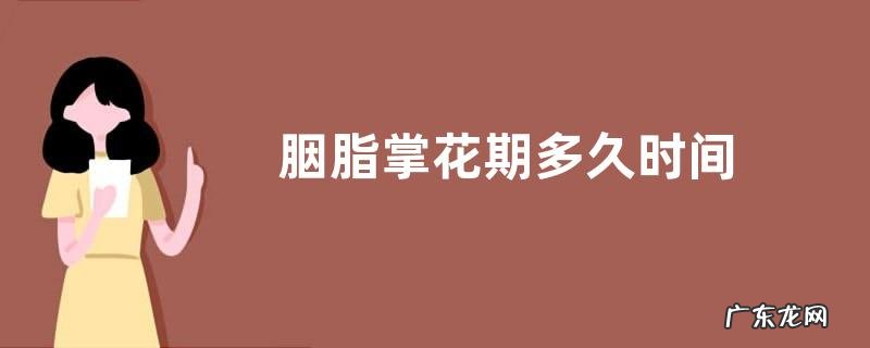 胭脂掌花期多久时间