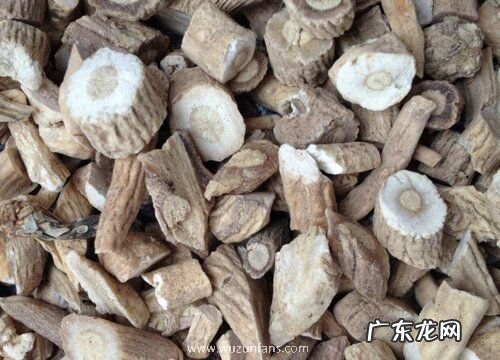 板蓝根是什么植物的根