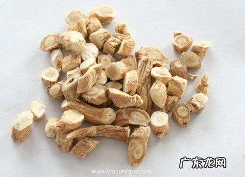 板蓝根是什么植物的根