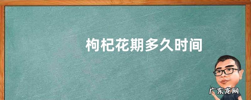枸杞花期多久时间