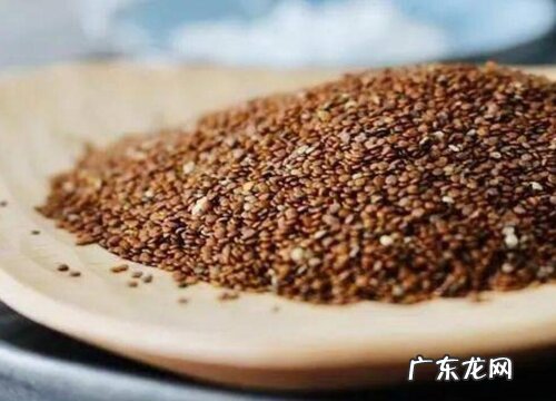 冰粉籽是什么植物的种子