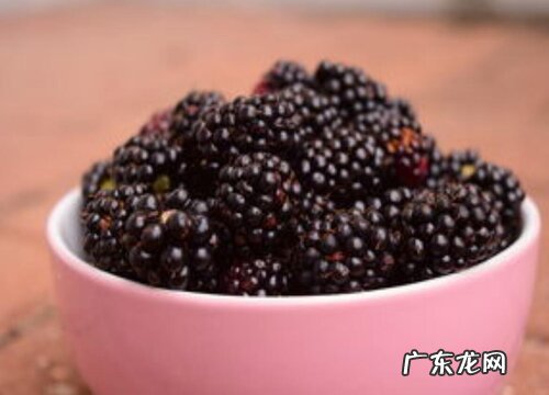黑莓是什么水果
