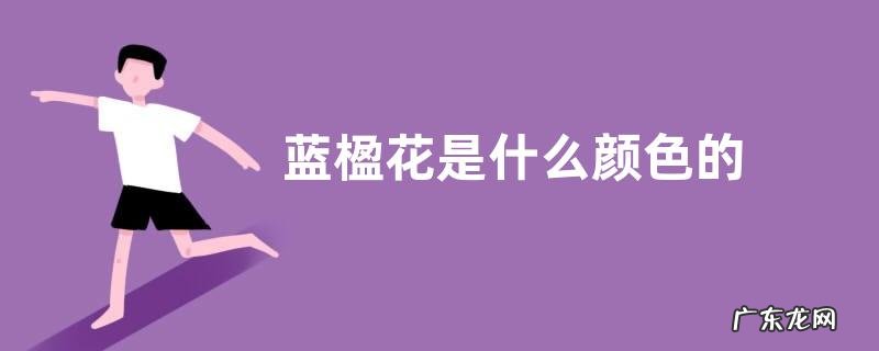 蓝楹花是什么颜色的