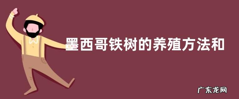 墨西哥铁树的养殖方法和注意事项有哪些