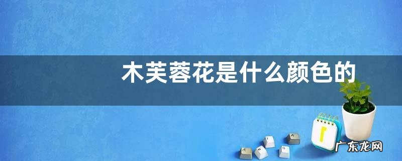 木芙蓉花是什么颜色的