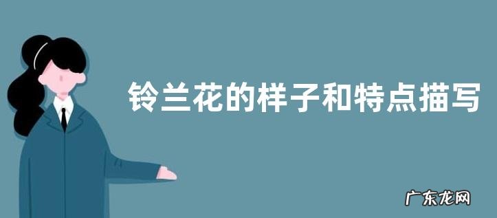 铃兰花的样子和特点描写