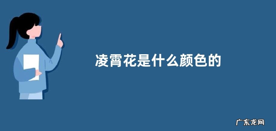 凌霄花是什么颜色的