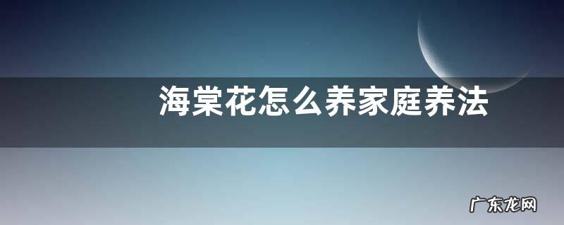 海棠花怎么养家庭养法 家里养殖方法