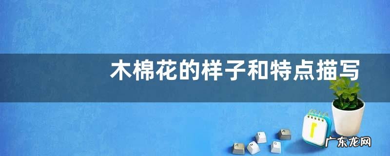 木棉花的样子和特点描写