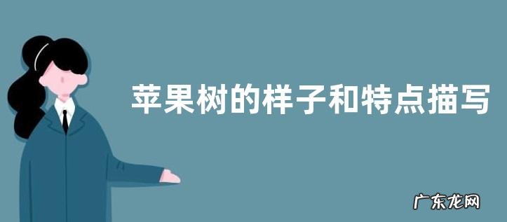 苹果树的样子和特点描写