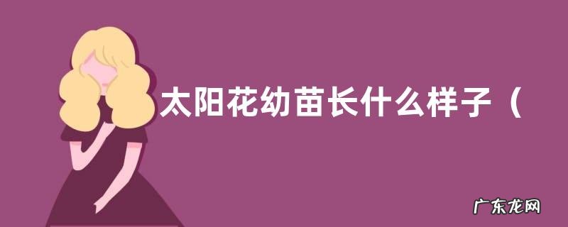 形状特点及图片 太阳花幼苗长什么样子