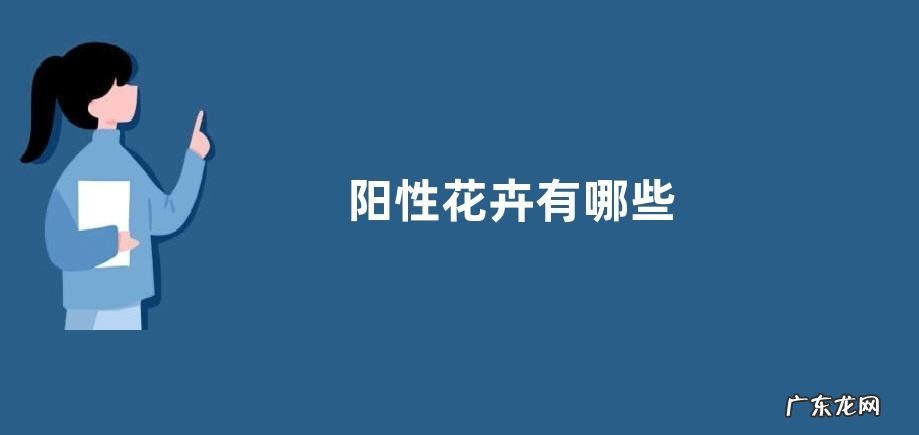 阳性花卉有哪些