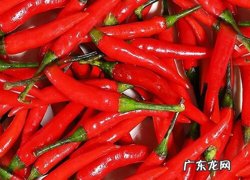 尖椒怎么保存时间长