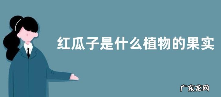 红瓜子是什么植物的果实