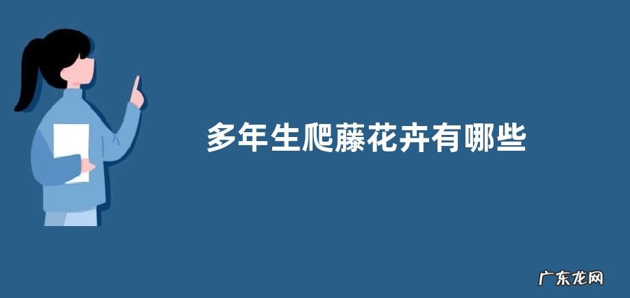 多年生爬藤花卉有哪些