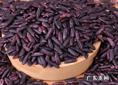 血糯米哪里产的最好最正宗 血糯米产地哪里的好吃