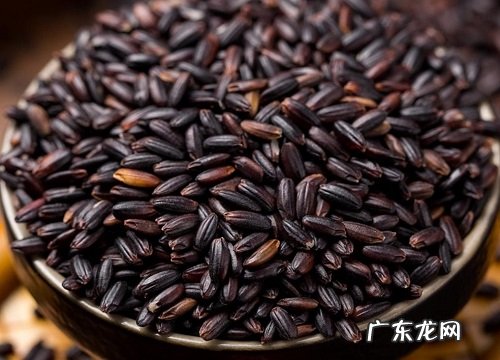 血糯米哪里产的最好最正宗 血糯米产地哪里的好吃