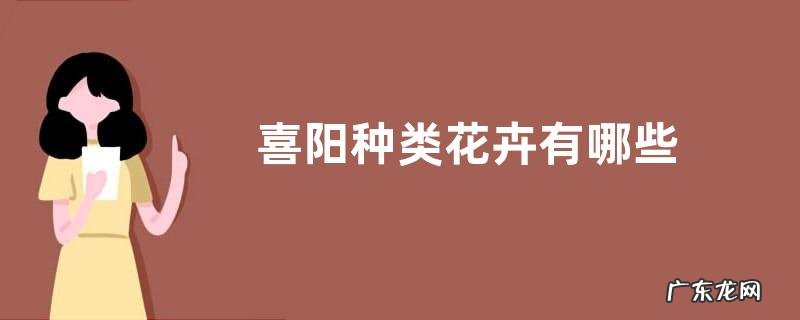 喜阳种类花卉有哪些