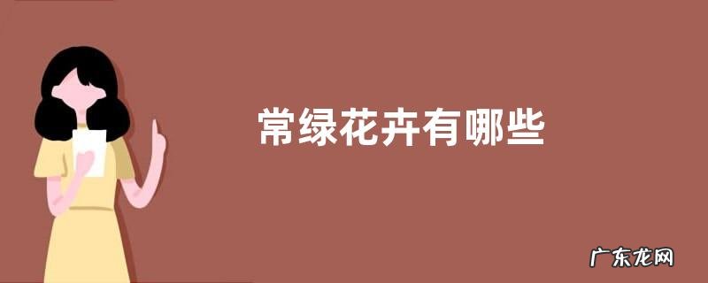常绿花卉有哪些