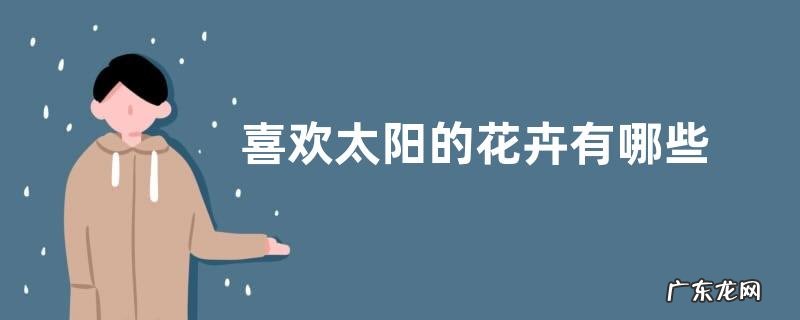 喜欢太阳的花卉有哪些
