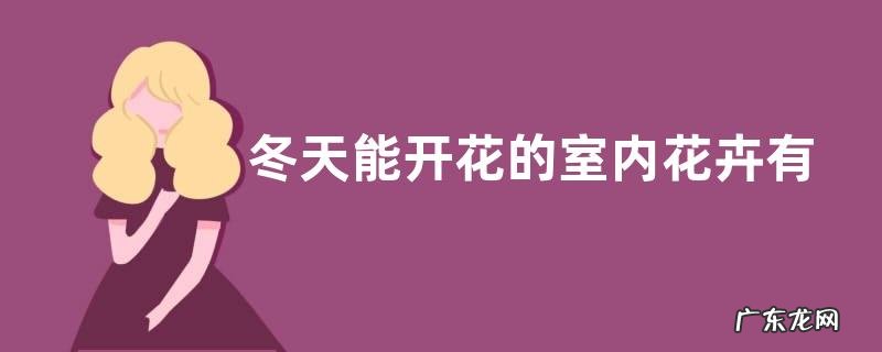 冬天能开花的室内花卉有哪些