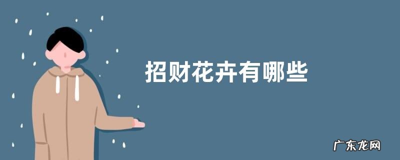 招财花卉有哪些