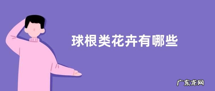 球根类花卉有哪些