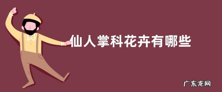 仙人掌科花卉有哪些