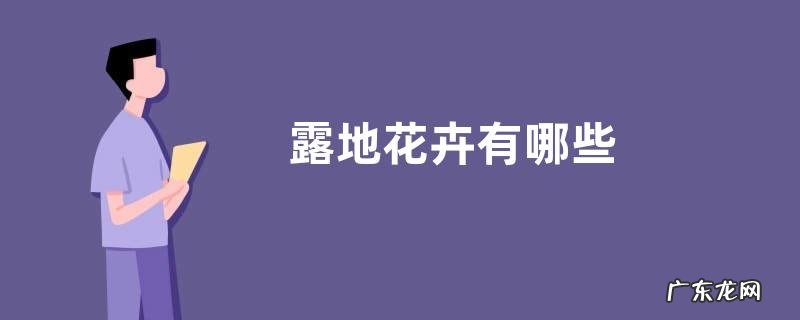 露地花卉有哪些