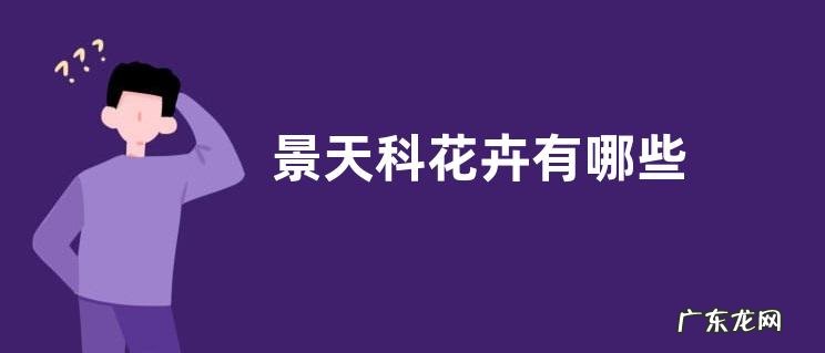 景天科花卉有哪些