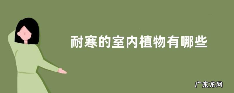 耐寒的室内植物有哪些